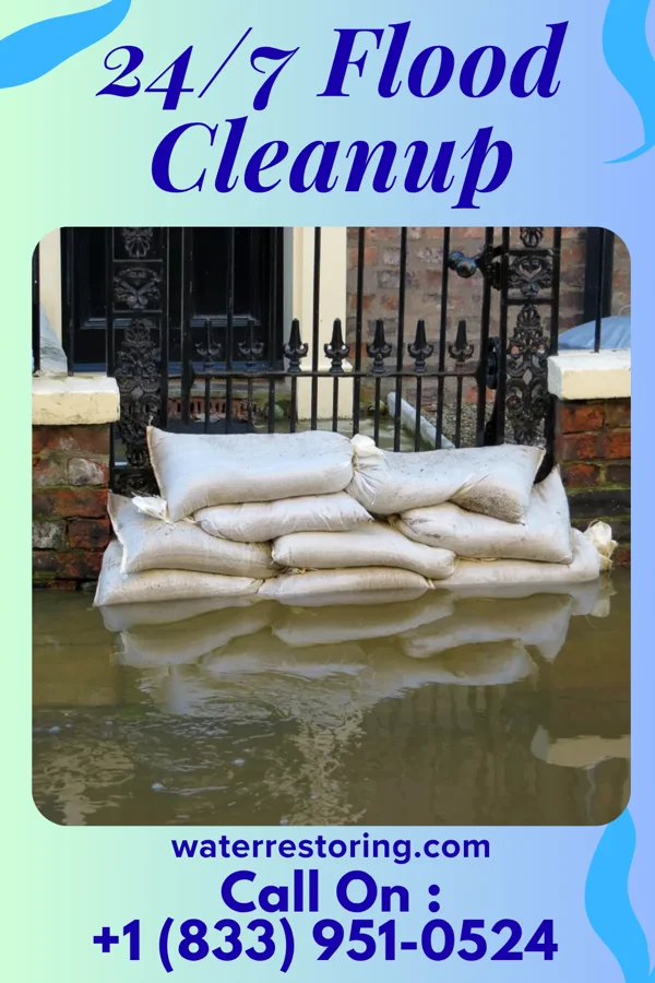 24/7 Flood Cleanup in Pontoosuc, IL
