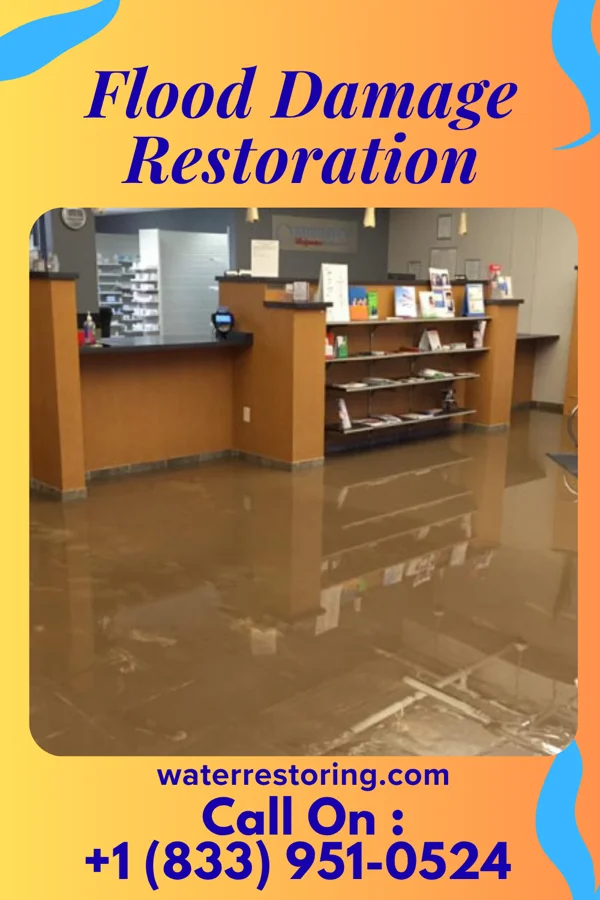 Flood Damage Restoration in Pontoosuc, IL