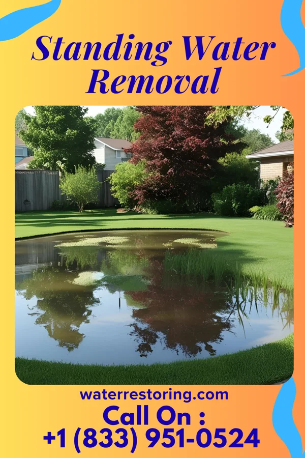 Standing Water Removal in Pontoosuc, IL